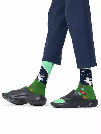 HAPPY SOCKS | Damen Socken PEGASUS LAND 36-40 light green | 